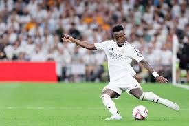 鉴的发展样 鉴的发展样